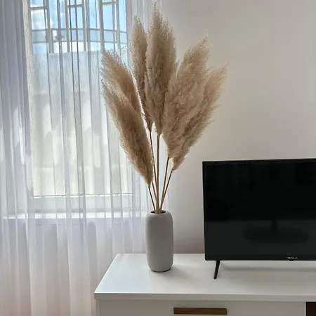 Bobo Apartamento